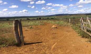 Imagem 7: Fazenda de 35 alqueires