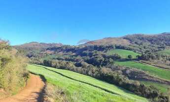 Imagem 5: Propriedade Agrícola 57,5 Ha com Ótimo Preço em Três Palmeiras