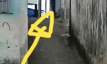 Imagem 5: Vendo casa com terraço, sala, cozinha, 2 quartos e inclui mais 2 kitinets