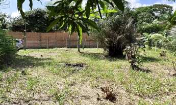 Imagem 2: Casas em mosqueiro