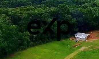 Imagem 3: Chácara à Venda em Campo Largo - 21.000m²