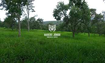 Imagem 4: FAZENDA COM ALTITUDE PARA PLANTIO DE CAFÉ DE 500 HA NO NORTE DE MINAS EM BOTUMIRIM MG