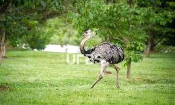Imagem 7: Lote à venda no Aldeia do Vale Goiânia