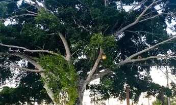 Imagem 5: Casa Condomínio Itapema Santo Amaro-BA