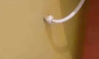 Imagem 3: Kitnet para Rapaz