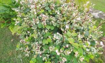 Imagem 3: Casa com preço abaixo de mercado