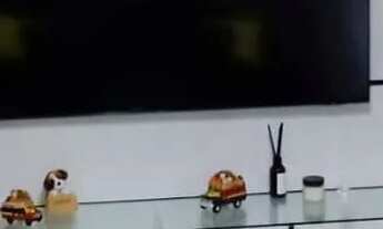 Imagem 5: Apartamento de 3 dormitórios e 1 vaga no bairro Passo da Areia