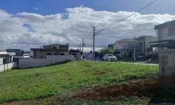 Imagem 3: Terreno à venda, 256 m² por R$ 397.000,00 - Recanto dos Eucaliptos - São José dos Campos/S