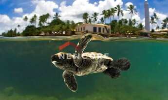 Imagem 4: Casa de condomínio em Avenida da Lagoa - Praia do Forte - Mata de São João/BA