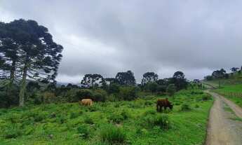 Imagem: Sítio no Morro da igreja/chácara em Urubici