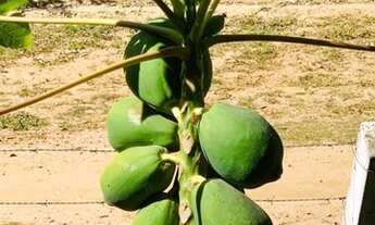 Imagem 5: Chácara para venda tem 80 metros quadrados com 3 quartos, fica na Cidade de salto,com escr