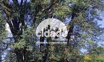 Imagem 3: TERRENO à venda, CENTRO - CASCAVEL/PR