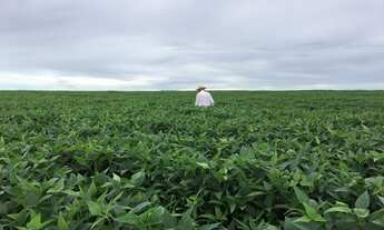 Imagem 3: Fazenda 640 hectares em joão pinheiro 30.000.000