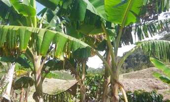 Imagem 7: Vendo ou troco por carro