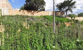 Imagem 4: Terreno à venda, 411 m² por R$ 95.000,00 - Florença - Ribeirão das Neves/MG