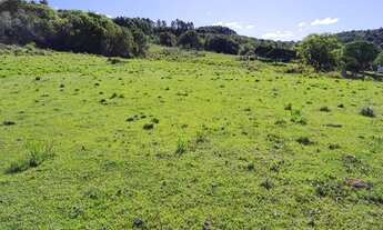 Imagem 6: R- 558 Vendo Belíssima Chácara de 26.0 Hectares no sétimo distrito de Pelotas