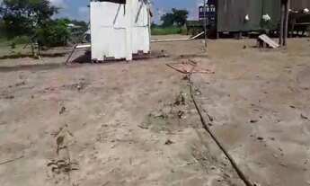 Imagem 3: Vendo esta chácara depois do bujari