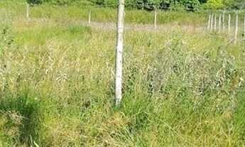 Imagem 6: Lote em cantagalo, rio das ostras, 8x30