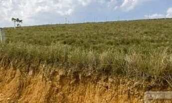 Imagem: CANELINHA - Terreno Padrão - Centro