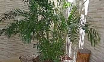 Imagem 3: CASA DE PRAIA NO MATAPOÃ