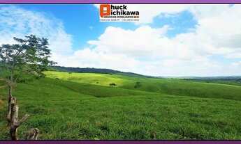 Imagem 6: FAZENDA DE 550 TAREFAS - Nossa Senhora das Dores