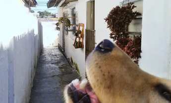 Imagem 4: Vende-se Casa no bairro Vila Fiori