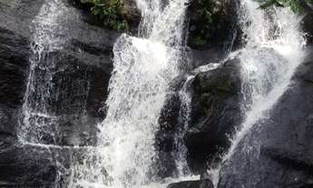 Imagem: Lote/Terreno para venda possui 600 metros