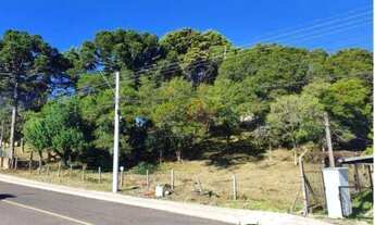 Imagem 2: Terreno no Centro de Canela!