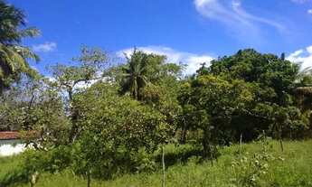 Imagem 4: Sitio Lauro de Freitas