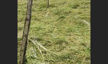 Imagem 2: Vendo Terreno / lote com venda por R$20.000