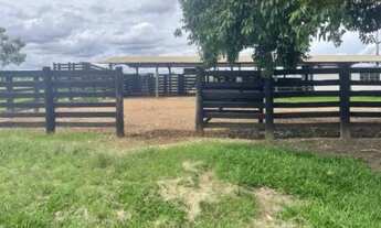 Imagem 2: Fazenda de 8.728 hectares em Serranopolis-GO