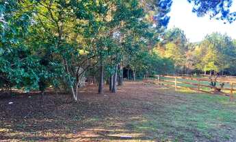 Imagem 7: Sítio Cercado Ou Com Riacho A 100 Metros Da Rs020. 1LKG2IT