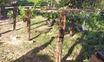 Imagem 6: Fazenda/Sítio/Chácara para venda com 200 metros quadrados com 3 quartos