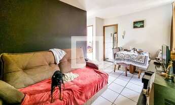 Imagem 2: Apartamento para Aluguel - São João Batista, 2 Quartos, 45 m2