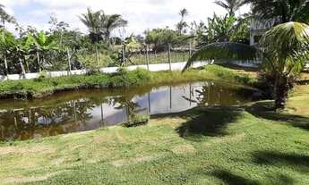 Imagem 3: Térrea para venda possui 480 metros quadrados com 5 quartos em Barra Grande - Maraú - BA