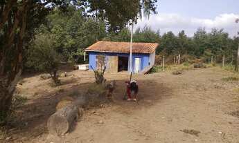 Imagem 3: Fazenda/Sítio/Chácara para venda com 200 metros quadrados com 3 quartos