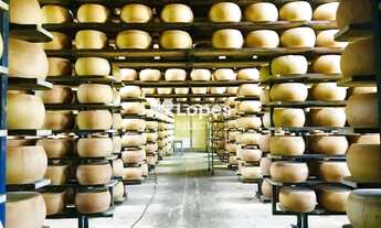 Imagem: Fazenda laticínios e suínos 127,5 alqueires