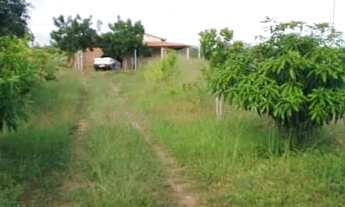 Imagem: SÍTIO EM TUCANO A VENDA (excelente oportunidade