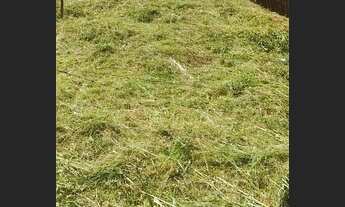 Imagem 4: Vendo Terreno / lote com venda por R$20.000