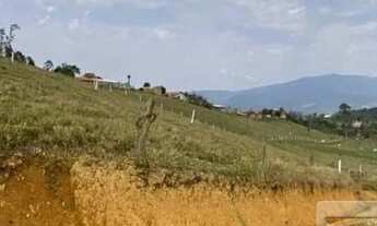 Imagem 7: CANELINHA - Terreno Padrão - Centro
