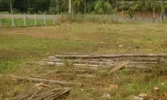 Imagem: Vendo, lote 362, lot morada da ilha. SFS