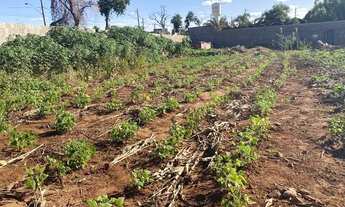 Imagem 4: Terreno Chácara - São Luiz II - Talhados