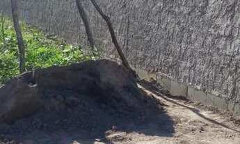 Imagem 2: Casa a venda Casa com 2 dormitórios