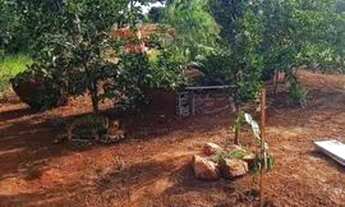 Imagem 6: Vendo Chácara 800² Piedade