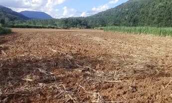 Imagem 7: Chácara com casa , rio nos fundos,roças