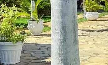 Imagem: Casa Praia Pirambú