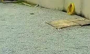 Imagem 3: Apartamento 2 quartos a venda em Matinhos