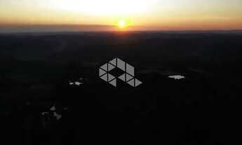 Imagem: Chácara (pomar) de 13,12ha na Linha 10