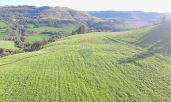 Imagem 6: Propriedade Agrícola 57,5 Ha com Ótimo Preço em Três Palmeiras