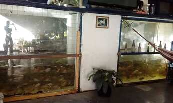 Imagem 4: Linda Fazenda no município de Ubaíra- Bahia